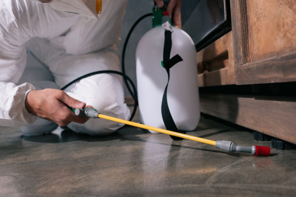 pest control specialist spraying pest